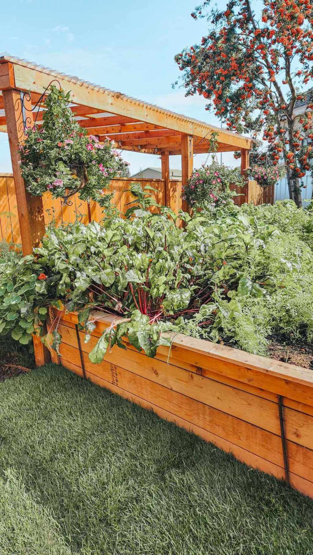 Cultivating Your Own Potager (The Joy of a French-Inspired Vegetable&nbsp;Garden)