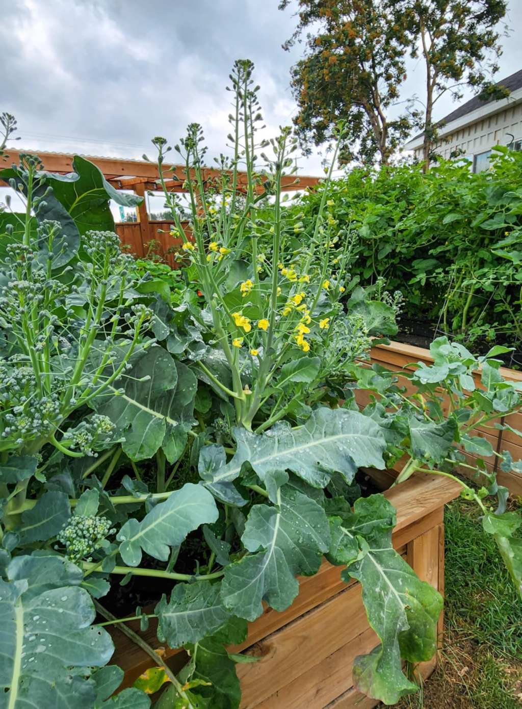 5 Easy Steps to Starting Your Potager&nbsp;Garden