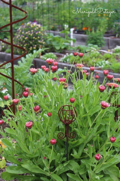 My Favourite Gift Ideas for the Gardener on Your&nbsp;List