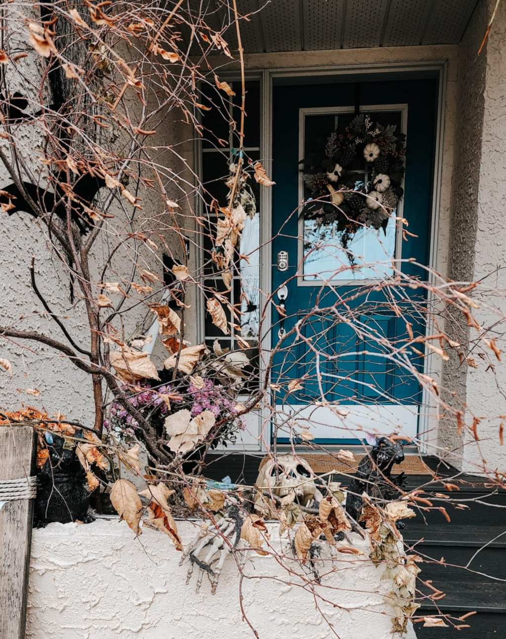 Sunday Potager Ramblings&nbsp;#1