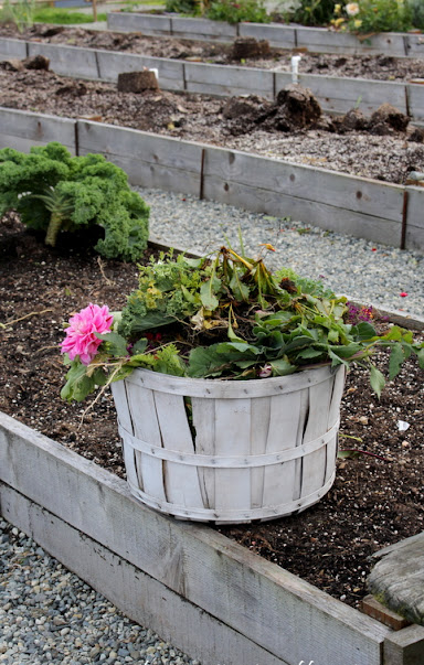 How To Put Your Potager Garden To Bed For Winter in 5 Easy&nbsp;Steps