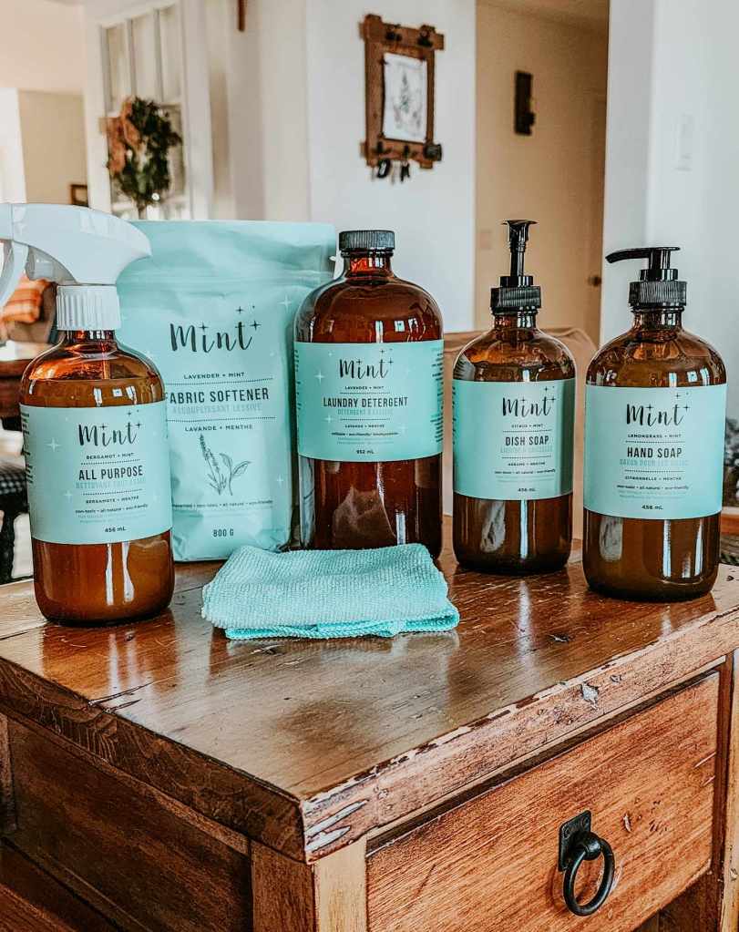 Mint cleaning supplies to help you keep your house clean with big, smelly dogs... love this stuff! 