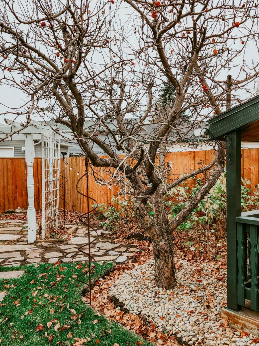 Sunday Potager Ramblings&nbsp;#7