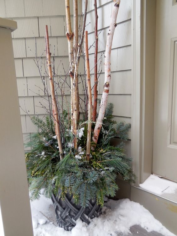A winter and holiday planter with twigs, branches and evergreen boughs.