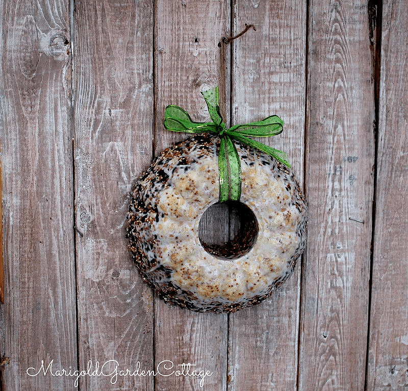 A large birdseed wreath with a frosting of suet. 