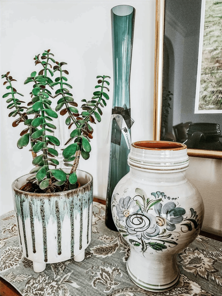 A Lucky Jade brings good fortune and friendships according to feng shui. 