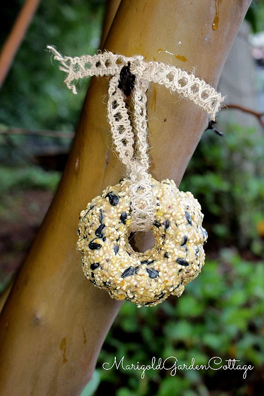 A mini birdseed wreath for the birds.