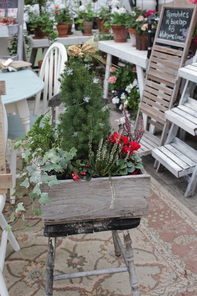 A wintery porch planter with flowers and plants in a wooden planter box.