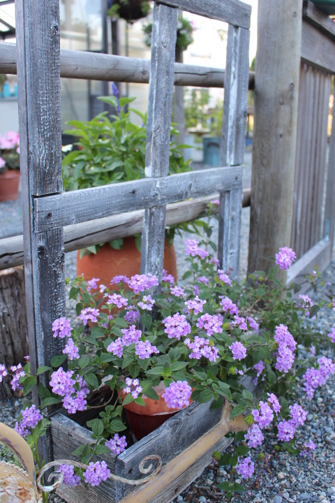 Cyber Monday Deals On Some Of My Favourite&nbsp;Things