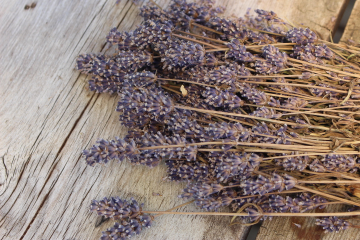 Lavender sprigs lying on a wooden table.