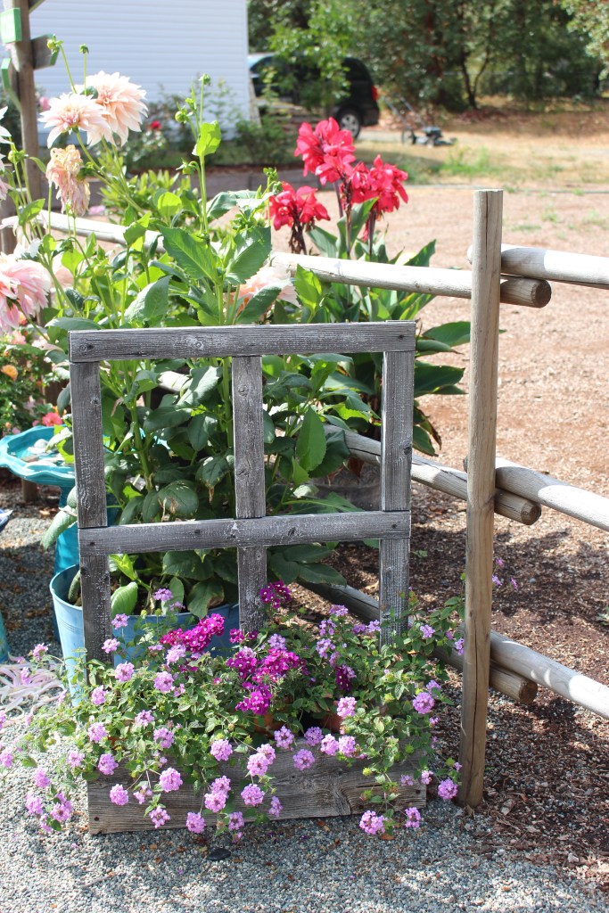 A planter box made to look like a fake window with the planter attached. 