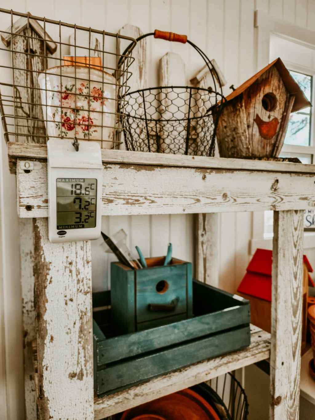 Sunday Potager Ramblings #15 (Gardening&nbsp;Trends)