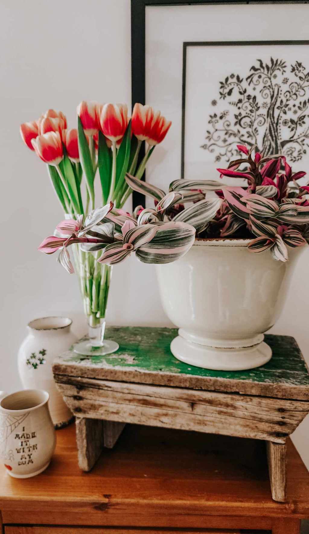 Sunday Potager Palaver #16 (When To Start Seeds, How To Grow&nbsp;Luffas)