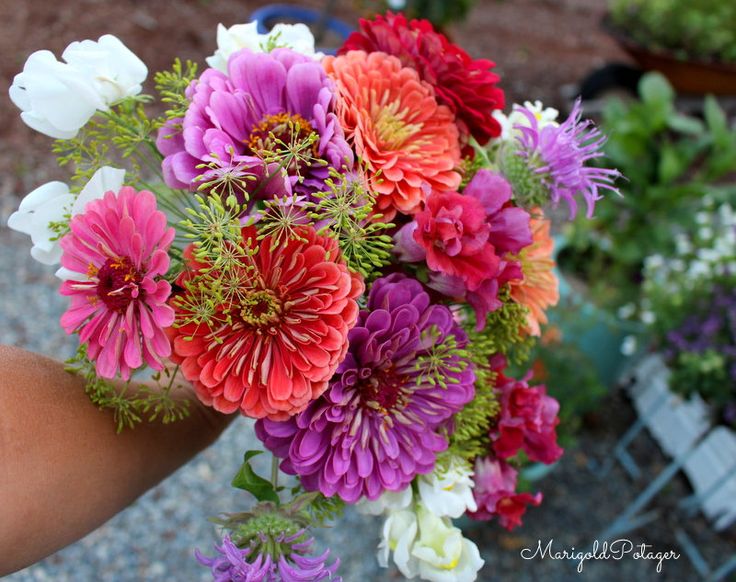 A tussie mussie is a small posy type bouquet. 