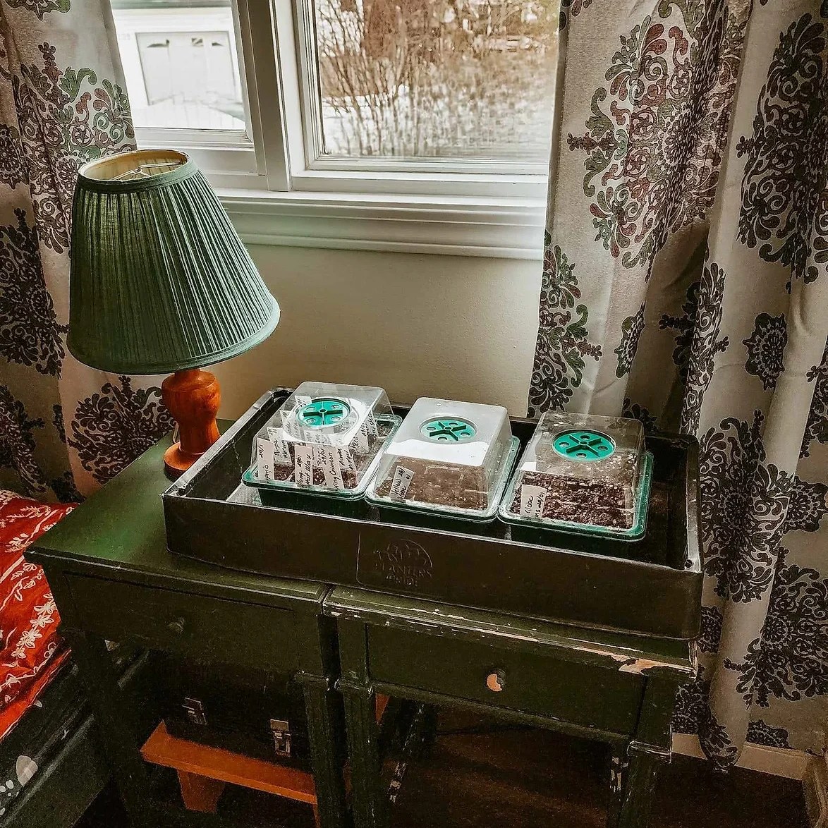 Heating mats will help your seeds germinate so much faster, better. 