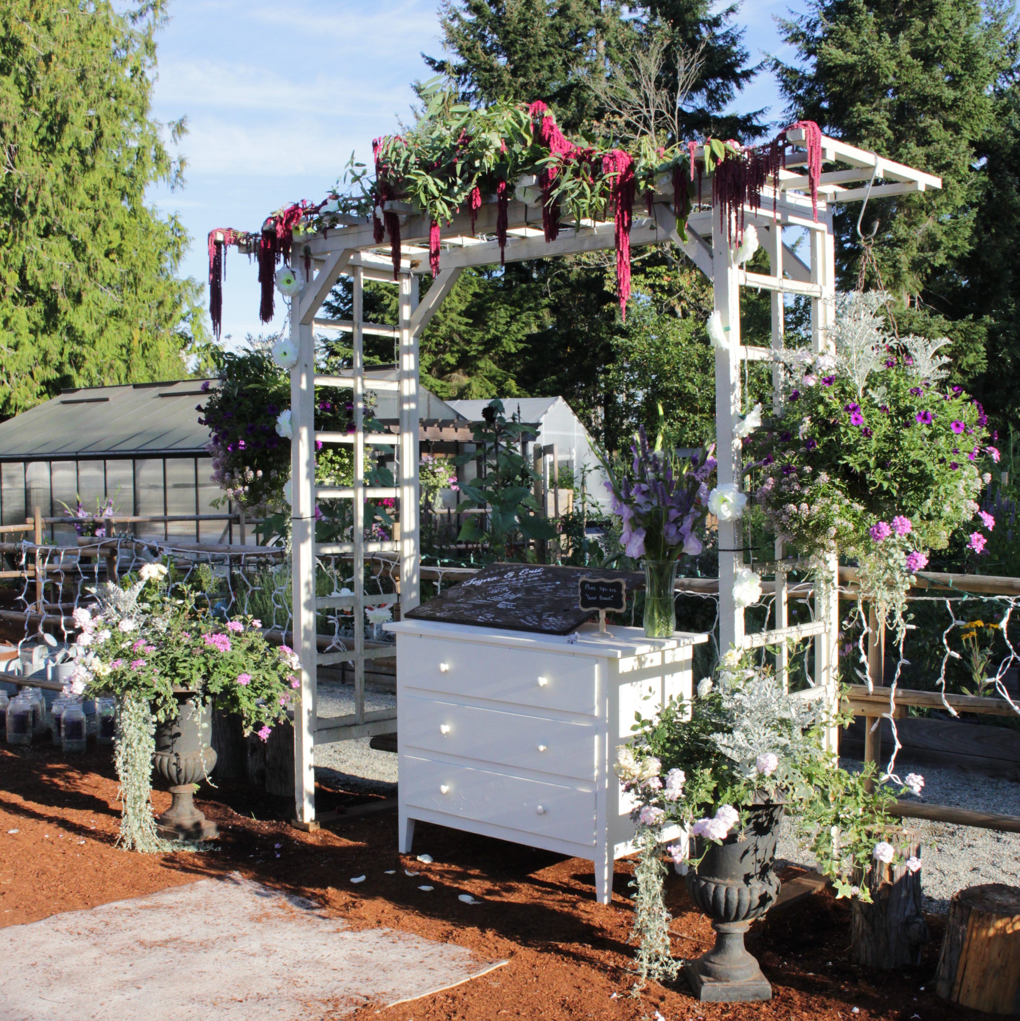 A wedding arbour with Love Liew bleeding draped across the top. 