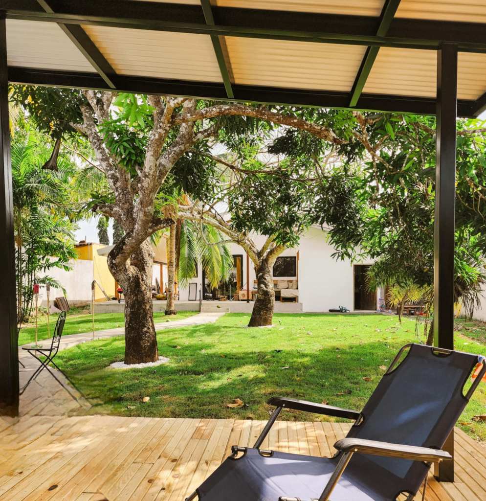 A green backyard in Panama, with a mango and coconut trees. 