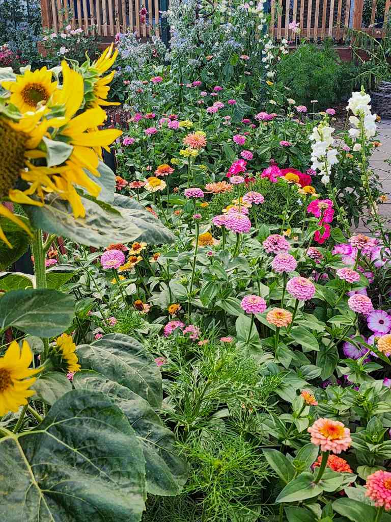 A vibrant flower garden featuring a variety of colorful blooms including sunflowers, zinnias, and petunias, with lush green foliage and a wooden fence in the background.