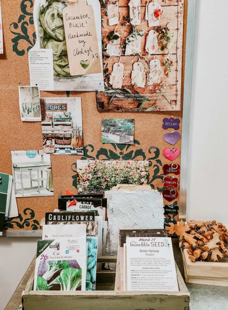 A tray full of seeds to start indoors. In the background is a gardening inspired pin board. 
