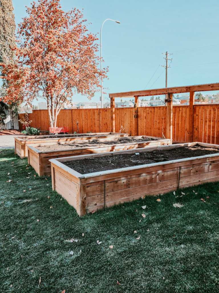 3 wooden raised beds, empty in spring, ready to be planted up. 