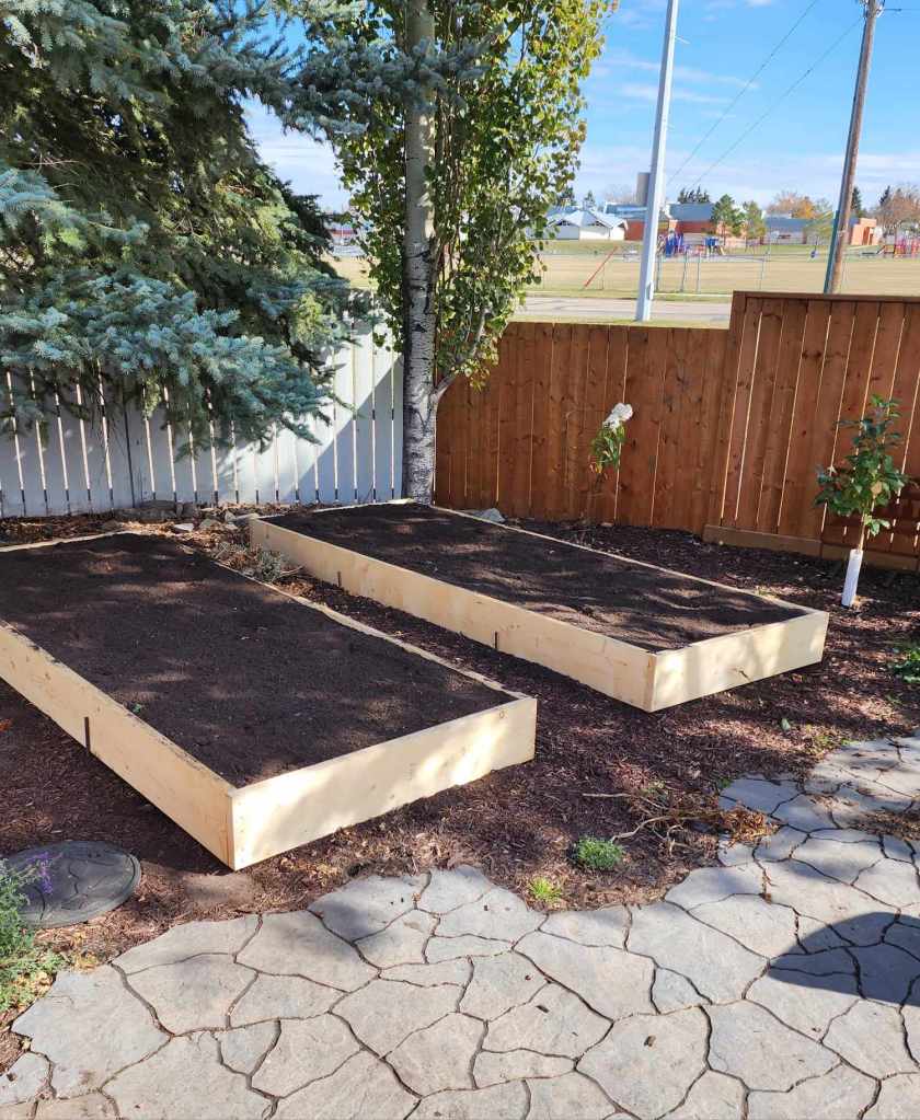 Raised garden beds filled with dark soil, surrounded by a paved pathway and green trees in the background.