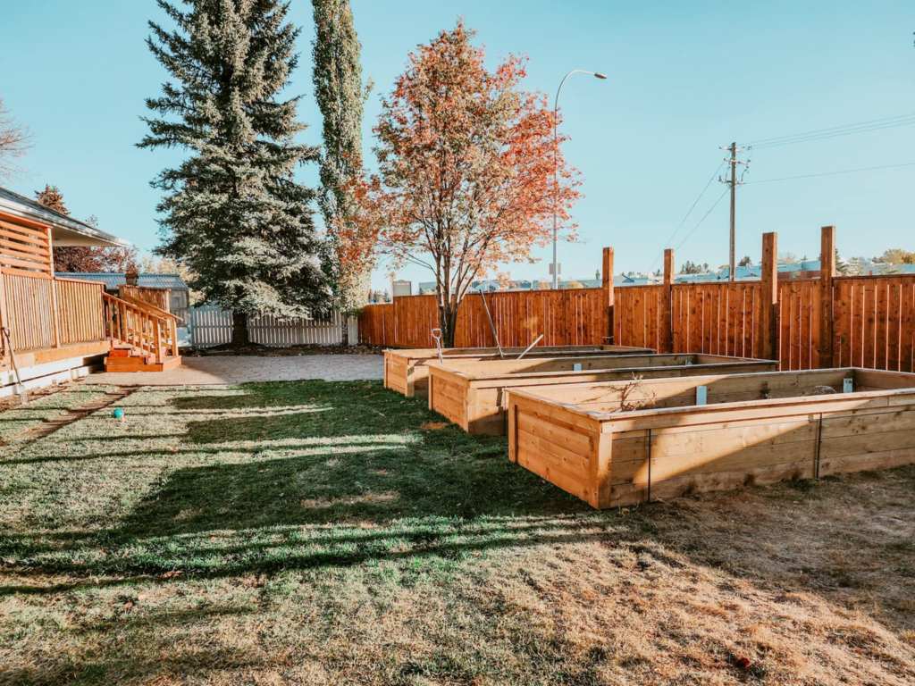 A large backyard with 3 brand new wooden raised beds. 