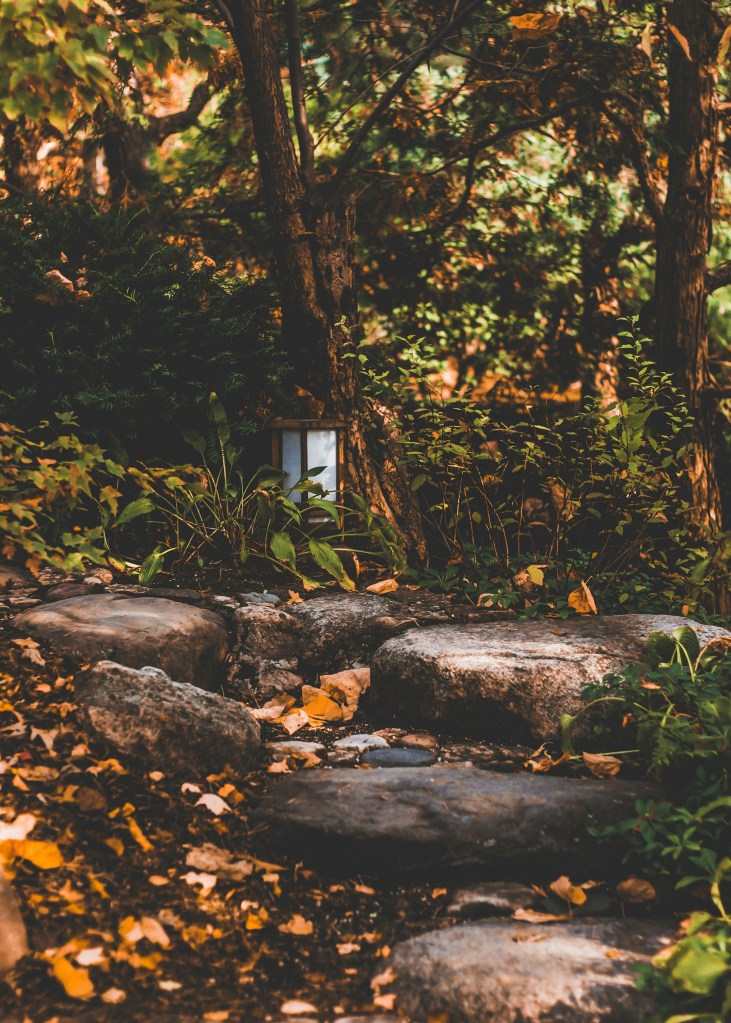 A serene path through a garden, lined with large stones and surrounded by lush greenery and fallen leaves.
