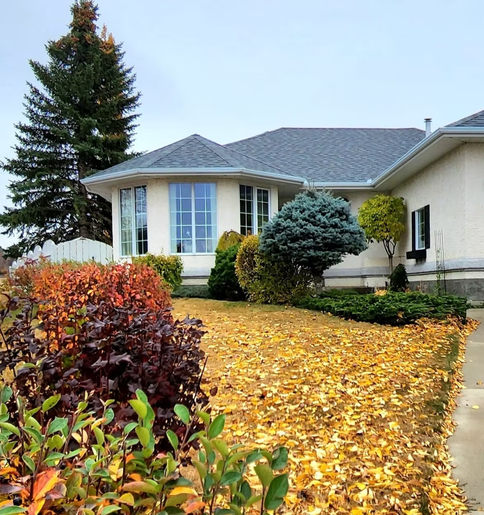 a front yard in the fall, with grass gone brown, golden leaves falling, and shrubs in varying hues of red and orange. 