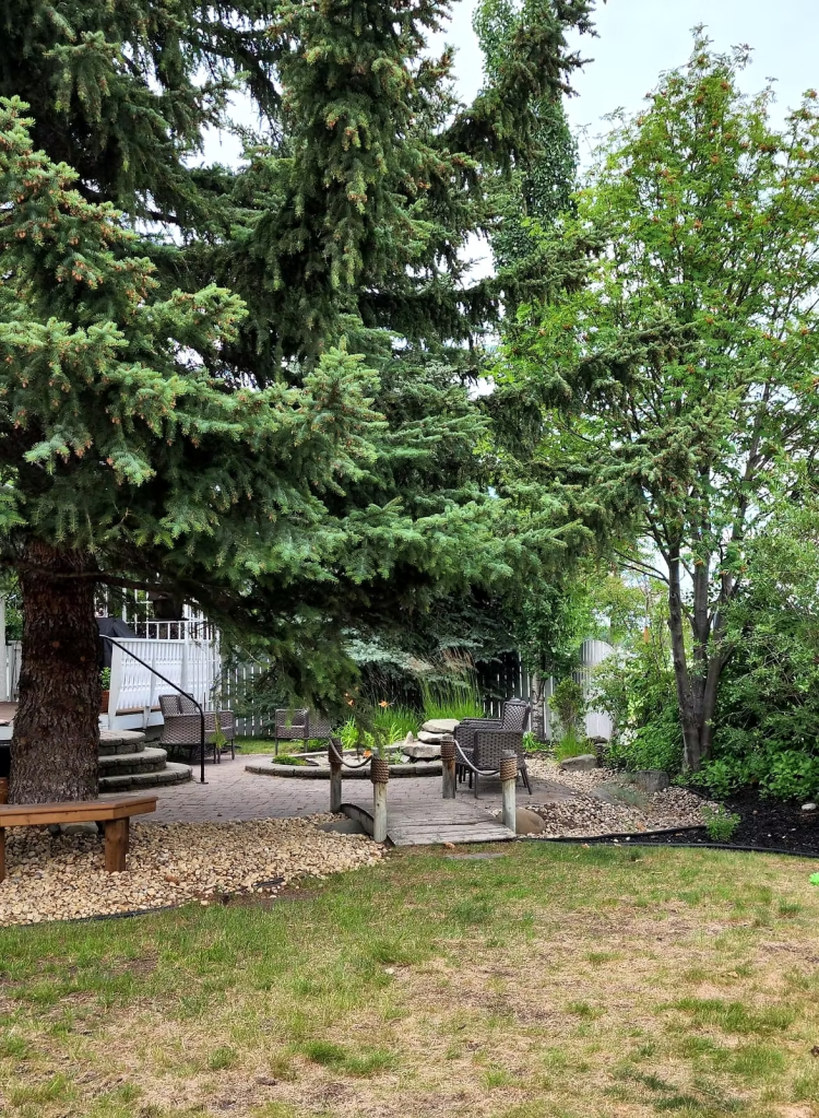 A very overgrown, untended yard with a small pond. 
