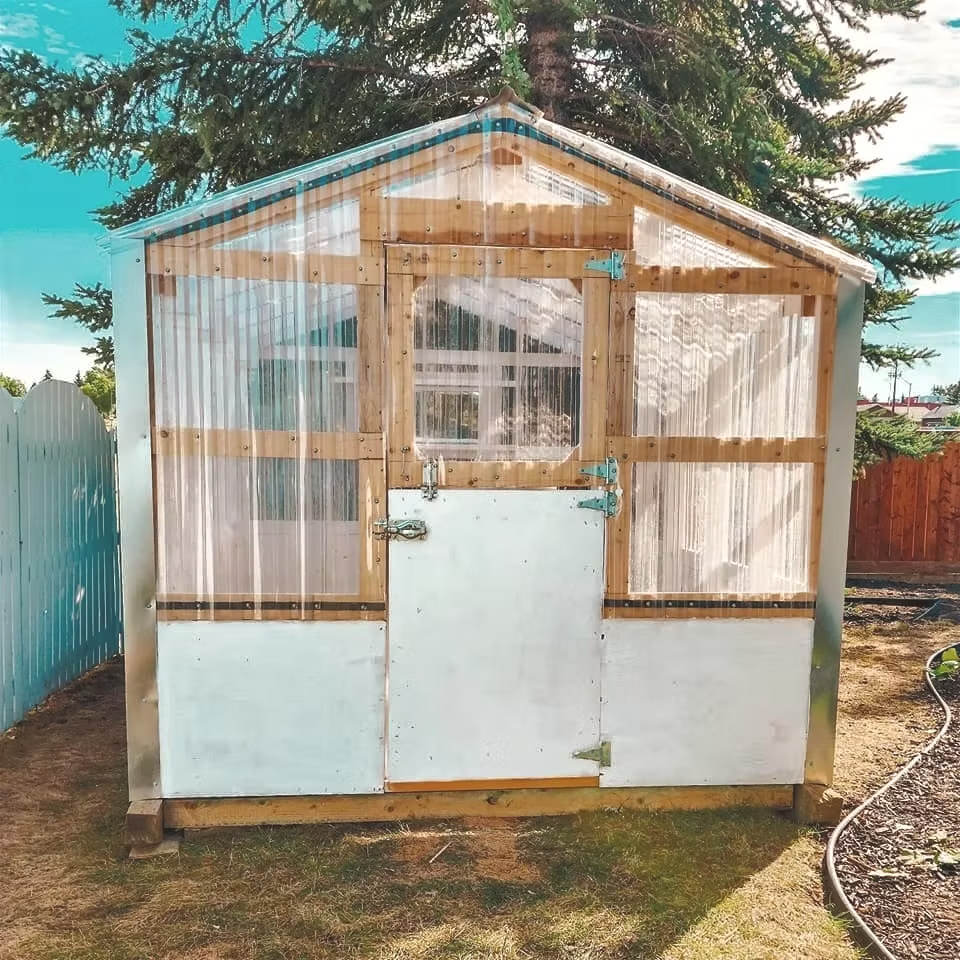 A white and natural wood greenhouse. 