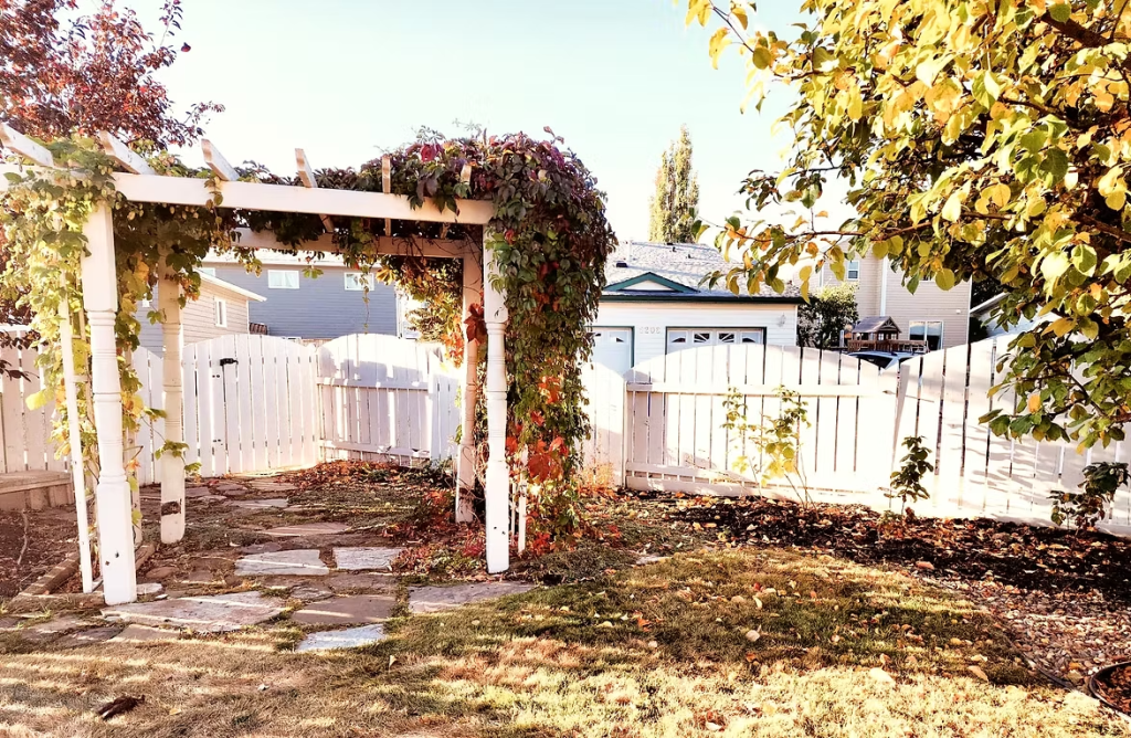 The corner of a yard with a white vine covered pergola leading to the back alley. 
