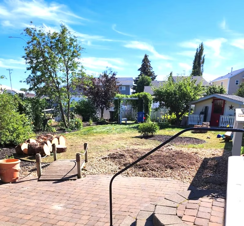 An overgrown yard that needs a serious makeover. 