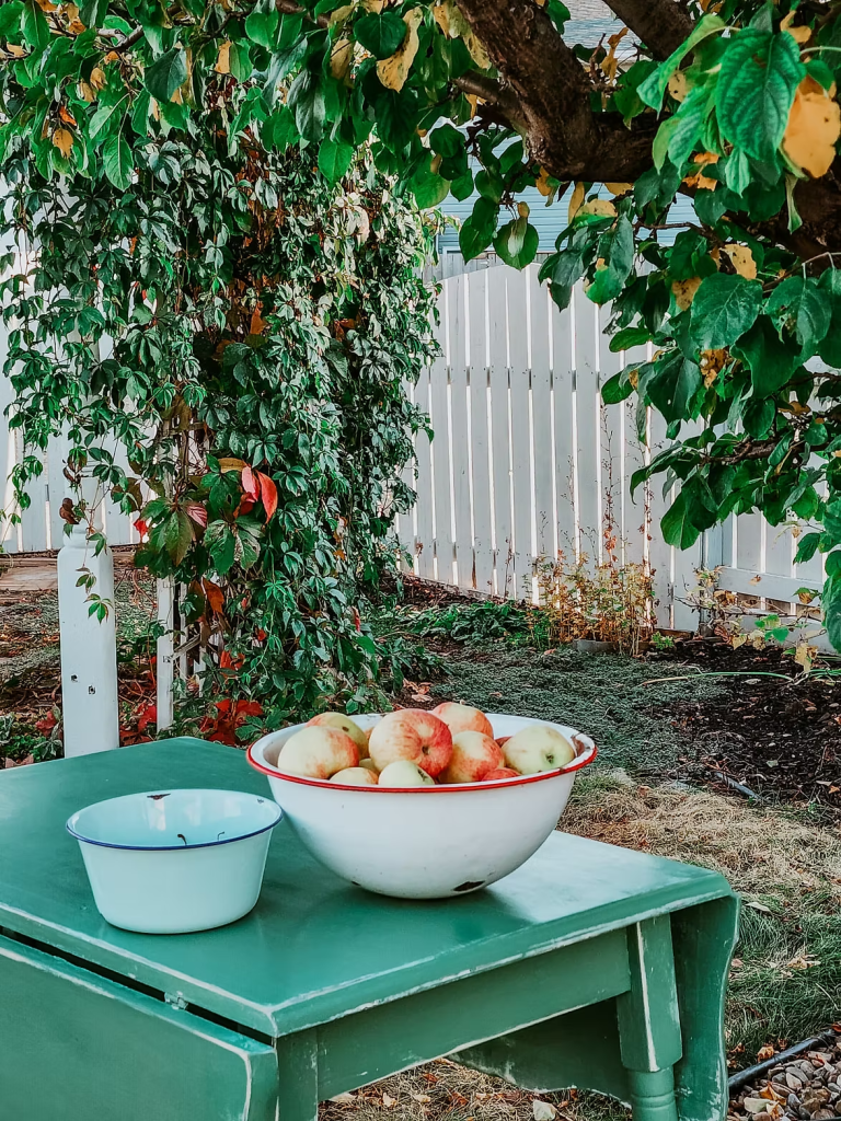 A table with a bowl of apples with a vine covered arbour behind, and a thyme filled corner garden. 