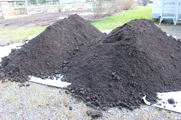 Two large piles of dark, rich compost sitting on a gravel surface, ready for use in the garden.