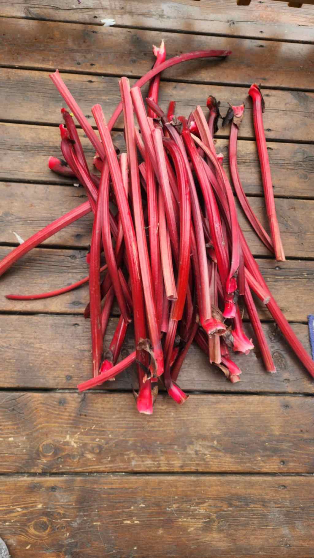 How To Grow&nbsp;Rhubarb