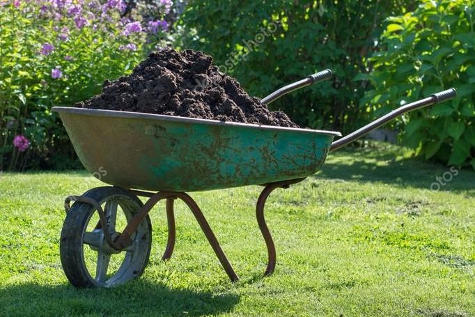 A wheelbarrow filled with dark compost sitting on green grass in a garden, with colorful flowers blurred in the background.