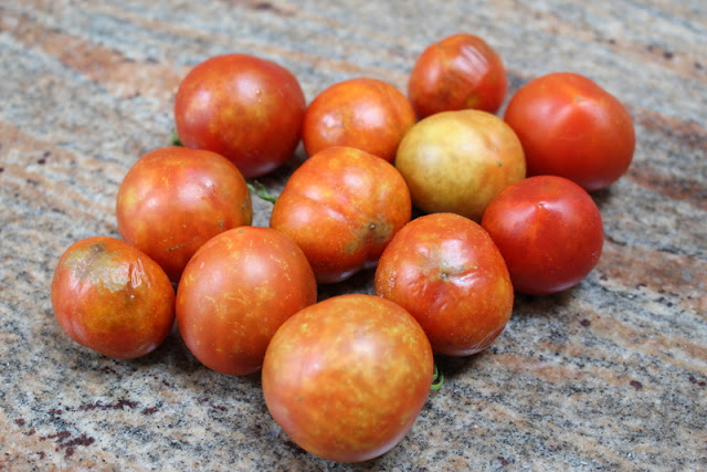A collection of tomatoes with stippling arranged on a granite surface.