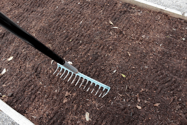 A garden rake being used to prepare soil in a planting bed, with dark, loose soil visible in the background.