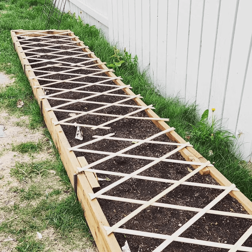A long wooden raised garden bed filled with dark soil, covered by a trellis of wooden slats to keep out the dogs and cats.