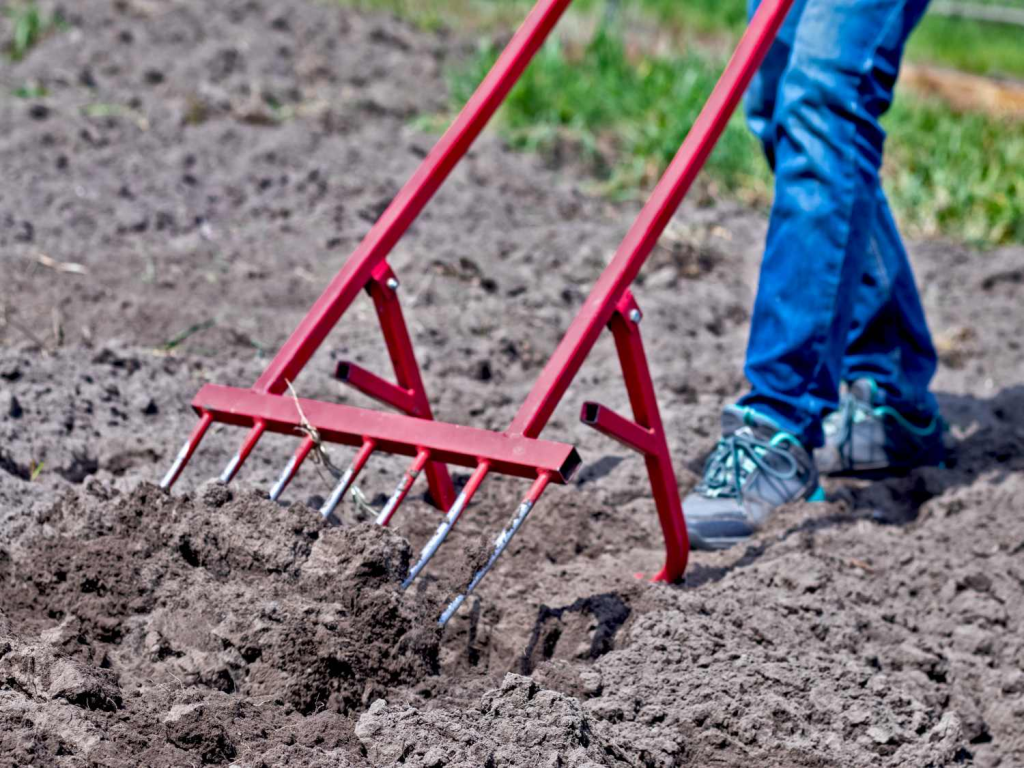 A person using a broadfork to aerate the soil in a garden bed.