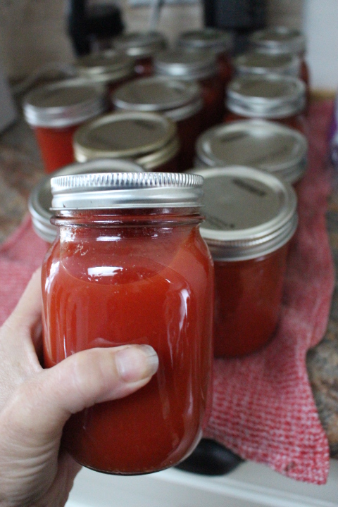 A hand holding a jar of homemade tomato sauce, with several other jars in the background on a countertop.