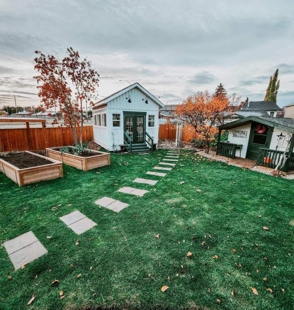 A well-maintained backyard featuring a small white garden shed, elevated wooden planter boxes, and a stone pathway leading to the shed, surrounded by freshly cut grass and autumn foliage.