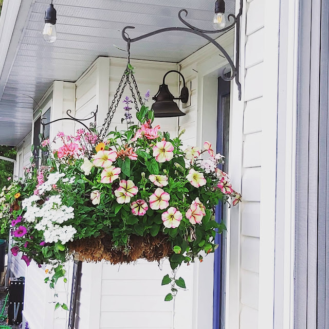 Sunday Potager Palaver&nbsp;#29