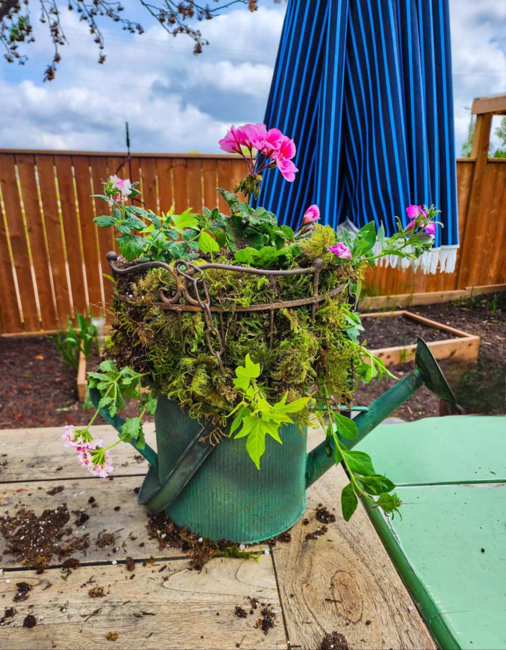 Sunday Potager Ramblings&nbsp;#31