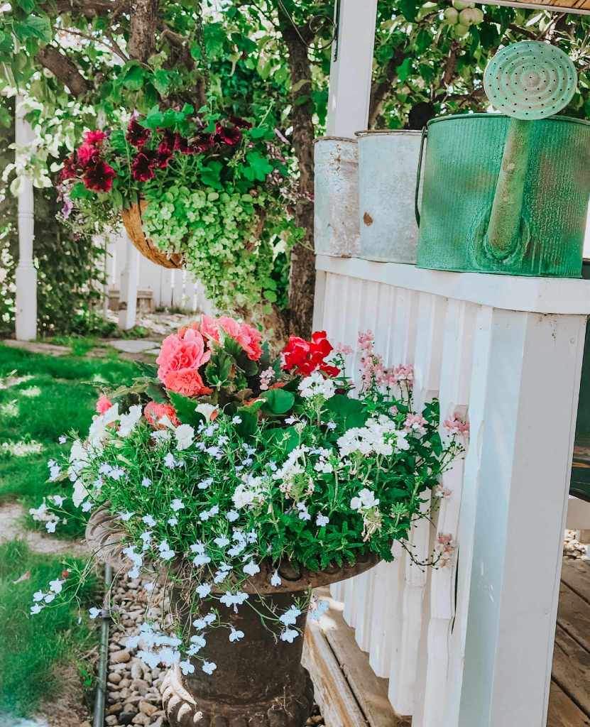 A beautifully arranged flower pot displaying vibrant pink and red flowers, with a lush green backdrop, complemented by hanging baskets filled with colorful plants. A vintage watering can is also visible in the background.