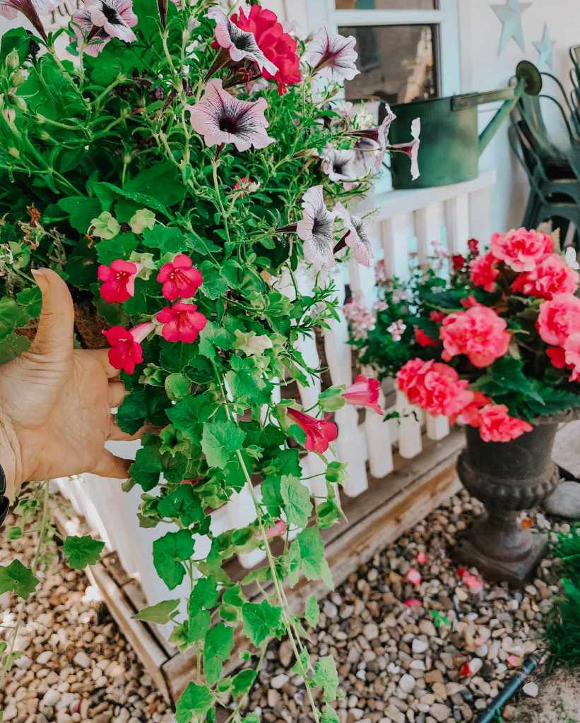 A person holding a vibrant hanging basket filled with mixed flowers, including petunias and other colorful blooms, with a decorative garden setting in the background.