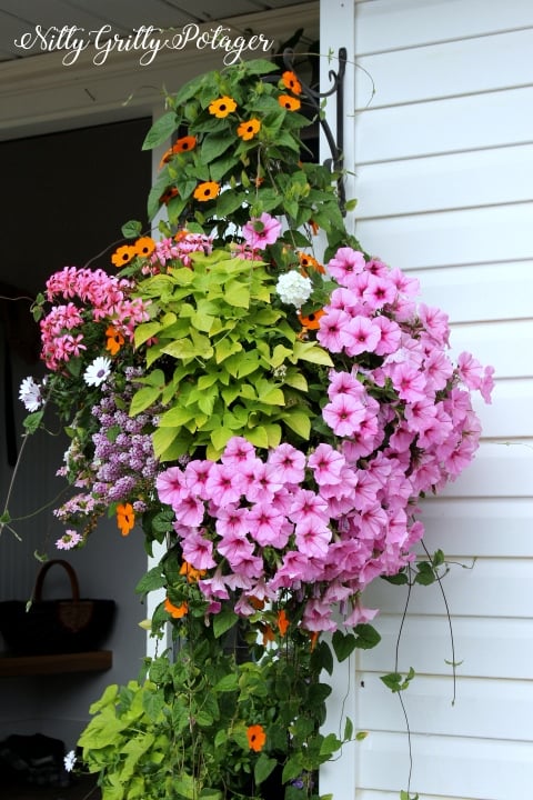 A vibrant hanging basket overflowing with pink petunias, orange marigolds, and green foliage, showcasing a lush and colorful display of summer flowers.