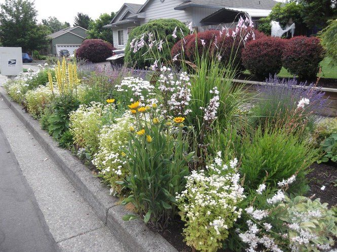 A vibrant garden bed filled with a variety of colorful flowers and lush greenery along a sidewalk, with a residential house in the background.