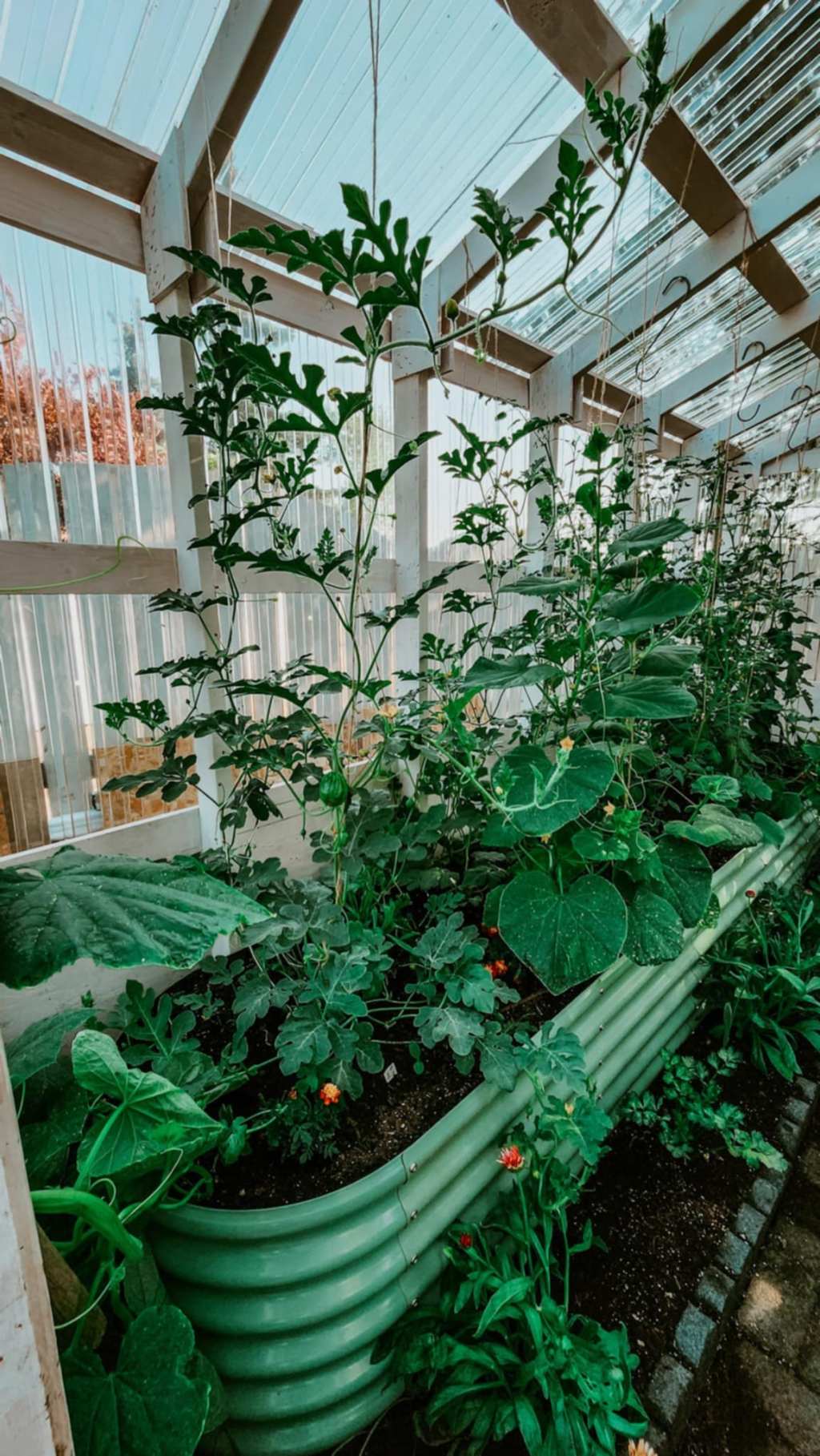 May Week #1 Task&nbsp;List