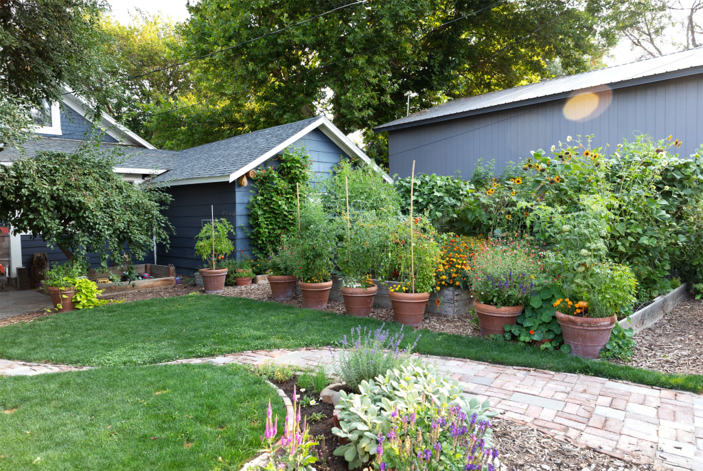A well-maintained garden with various potted plants and flowers in front of a house, showcasing a landscaped yard with green grass and a brick pathway.